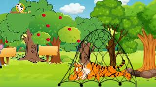 Rat and lion friendship  ইঁদুর সিংহের বন্ধুত্ব  new Bangla cartoon 2024 hamba cartoon tv [upl. by Jobina]