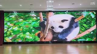 indoor led wall [upl. by Hagood]