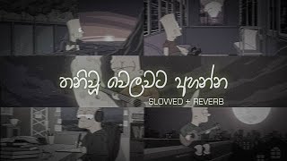 තනියම ඉන්න වෙලාවට අහන්න sinhala slowed and reverb collection  DEZTER BEATS [upl. by Ianej854]