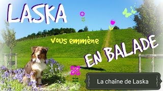 Laska vous emmène en balade VLOG 06 [upl. by Corvin]