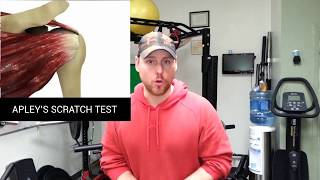 Rotator Cuff Stretches  Apleys Scratch Test  TIGHT INTERNAL OR EXTERNAL ROTATORS [upl. by Feliks303]