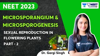 Microsporangium and Microsporogenesis  Part 2  NEET 2023  Dr Gargi Singh [upl. by Yanrahs270]