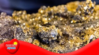 What are Minerals  More Grades 912 Science on the Learning Videos Channel [upl. by Ssalguod837]