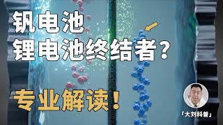 锂电池的终结者？深度讲解「炒上天」的钒电池！ [upl. by Horwath706]