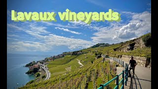 Day visit to Lavaux Vineyards  UNESCO world heritage  Switzerland 🇨🇭 [upl. by Niel]