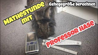 Mathestunde mit Professor Hase  Gehegegröße berechnen [upl. by Grier]