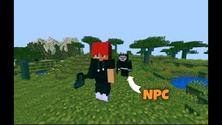 Minecraft Player VS NPC [upl. by Laroc]