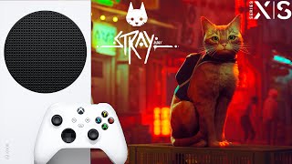 Stray ТВОЙ МИЛЫЙ КОТИК Xbox Series S 1080p 60 FPS [upl. by Oiramel]