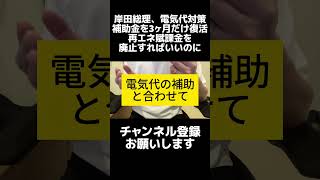 岸田総理、電気代補助金3ヶ月限定で復活。セコすぎる。補助金と合わせて「再エネ賦課金」を廃止にしてください。ガソリンはトリガー条項発動お願いします。 shorts 岸田総理 補助金 [upl. by Ahsimal964]