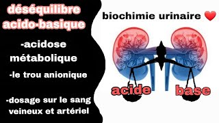 déséquilibre acidobasique  acidose métabolique le trou anionique [upl. by Eniamej]