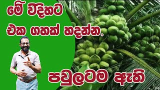 එක ගහක් පවුලටම ඇති AgriView61 [upl. by Eeuqram]