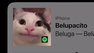 BelugaBelupacito official video [upl. by Cirded]