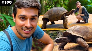 The Giant Aldabra Tortoises  Longest Living Reptiles 190 years  Dhruv Rathee Vlogs [upl. by Fayette]