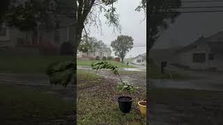 Gale Force Winds Felt In Northen Kentucky From Hurricane Helene [upl. by Neltiac823]