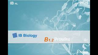 IB Bio 2025 B12 Protein HL Note ib ibbiology biology protein [upl. by Fennelly]