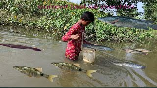 current jaal se machli pakadne ka video current jaal se fish pakadne ka tricks [upl. by Dominick962]