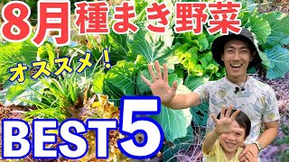 自然農初心者にオススメ！8月に植える野菜５選！ [upl. by Atinod]