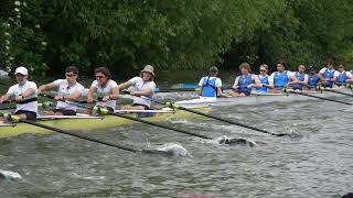 Caius M2 Division 1 Wednesday Cambridge May Bumps 2024 slow motion [upl. by Franciska]