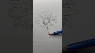 Draw a flower 🌸 Easy drawing lesson for beginners on how to draw a flower drawinglessonhowtodraw [upl. by Oihsoy]