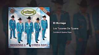 El Borrego  Los Tucanes De Tijuana Audio Oficial [upl. by Aiyram]