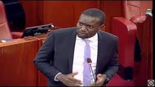 🔴LIVEFIREWORKS IN SENATE CHAMBER OVER GENZ REJECTED FINANCE BILL [upl. by Ffilc]