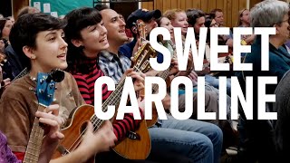 Sweet Caroline Neil Diamond cover Austin Ukulele Society [upl. by Eugeniusz]