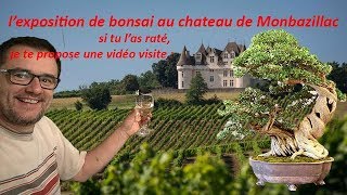 Exposition Monbazillac 2017  LE BONSAi [upl. by Moonier]