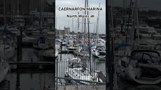 The beauty of Caernarfon Marina northwales youtubeshorts uk country sea [upl. by Ydor616]