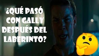 Las 7 cosas que pasaron con Gally después del Laberinto  Maze Runner   AZ Tops [upl. by Coats]