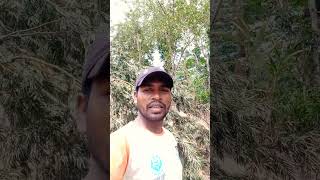 Katha Katha te  Sunil Murmushort shortvideo ytshort ytshortsvideo yt song magic santali [upl. by Aserehs155]