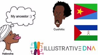 Eritrean ILLUSTRATIVE DNA Results 2022 Habeshas Are Cushitic [upl. by Marje]