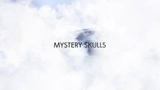 Mystery Skulls  Endlessly Official Audio [upl. by Oconnor96]