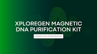 DNA Purification using Magnetic Beads  Xploregen Discoveries Pvt Ltd [upl. by Arateehc]