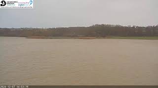 LRWT  Manton Bay Ospreys Live Webcam [upl. by Laucsap]