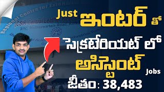 సెక్రటేరియట్ లో ఇంటర్మీడియట్ అర్హతతో అసిస్టెంట్ ఉద్యోగం  Latest Government Job Notifications 2024 [upl. by Collyer776]