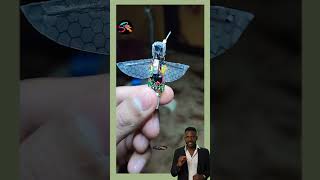 Three Electronic insects and humming bird shortvideo technology [upl. by Yenterb423]