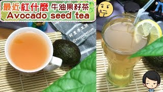 最近紅什麼牛油果籽茶 Avocado seed tea [upl. by Nitin]