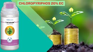 Chloropyriphos 20 EC Insecticide Tata Tafaban [upl. by Savannah]