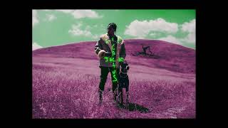 Travis ScottPlayboi Carti Perfect Transitions  Part 1 PART 2 IN DESC [upl. by Ecirtac]