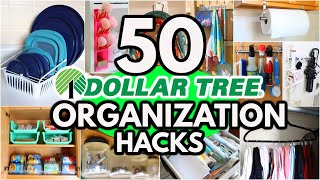 50 Dollar Tree Organization HACKS to get your home Organized FAST ideas from a pro [upl. by Aidil489]