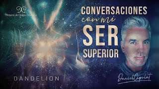 CONVERSACIONES con mi SER SUPERIOR  Daniel Cipolat  DANDELION [upl. by Yenohtna]