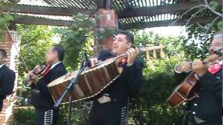 Mariachi Halcones De Jalisco  Puno De Tierra [upl. by Clarkson225]