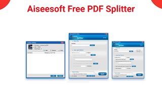 Aiseesoft Splitter Tutorial  how to use Aiseesoft Splitter [upl. by Nanoc]