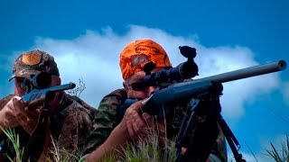 Hunting two Fallow deer with 204 Ruger and 22250 Rem neck shot in New Zealand  79 [upl. by Nosduj77]