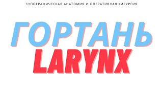 ГортаньLarynx Топографическая Анатомия и Оперативная Хирургия [upl. by Gnoix]