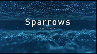 SPARROWS Song by Cory Asbury with Lyric Video  Worship Song with Lyrics  sparrows coryasbury [upl. by Hcra]