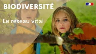 Biodiversité  le réseau vital [upl. by Lleddaw]