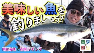 明石海峡で青物ジギング 美味しい魚を釣りましょう！（四季の釣り2023年12月29日放送） [upl. by Ellehcrad549]