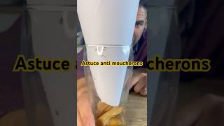 Astuce ULTIME contre les moucherons  astuce mouche moucherons piege antimoucherons [upl. by Enetsirhc890]