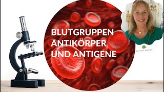 BlutgruppenAntikörper und Antigene Teil 1  Basiswissen [upl. by Nelag]